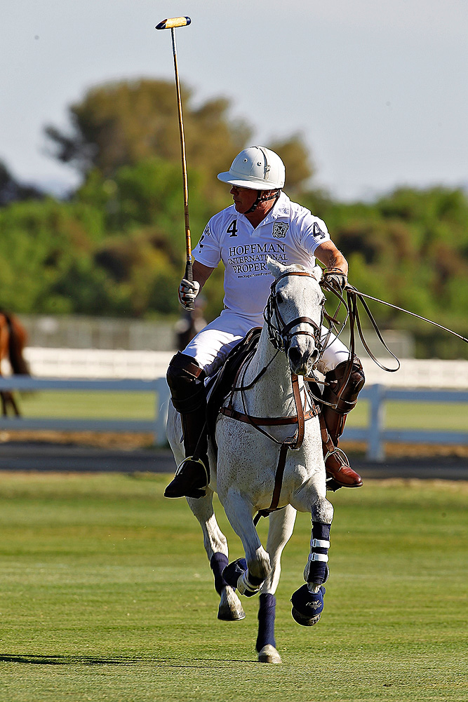 Polo Player