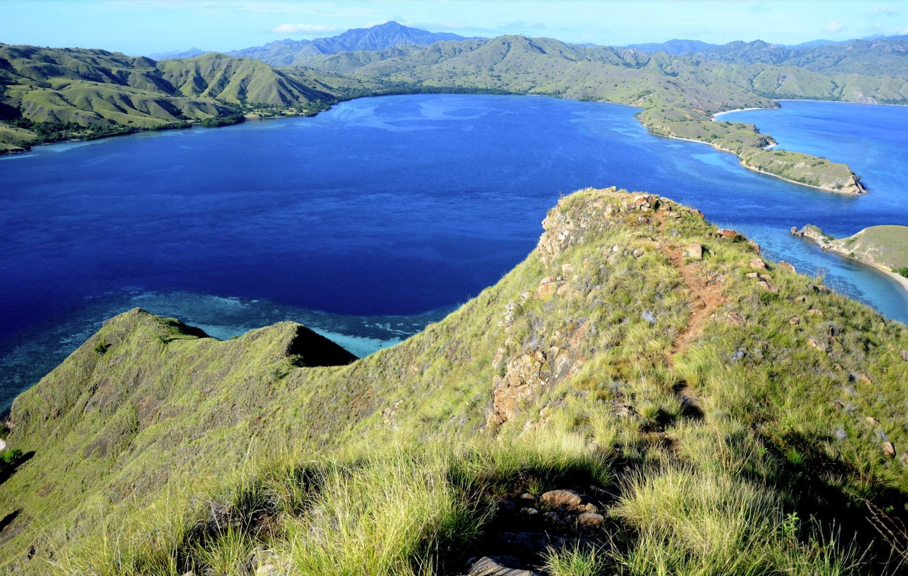 Tips to Help you Plan a Successful Trip to Komodo Island - Destination ...